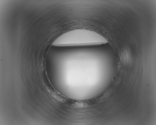 X0000080660464200612150740