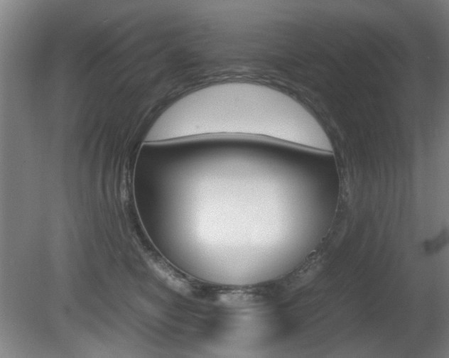 X0000080660470200612150740