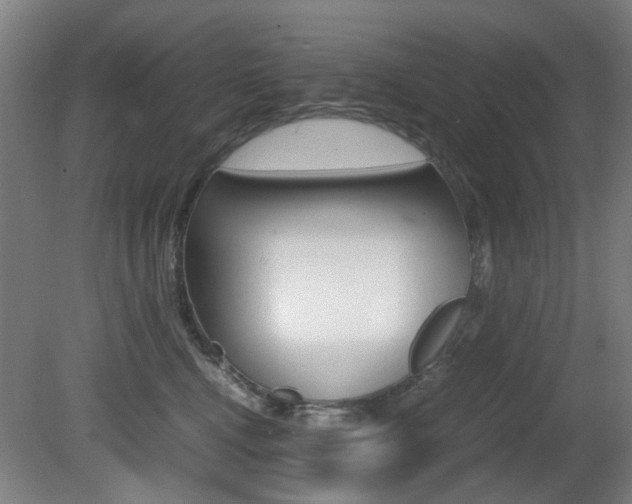 X0000080660472200612150740