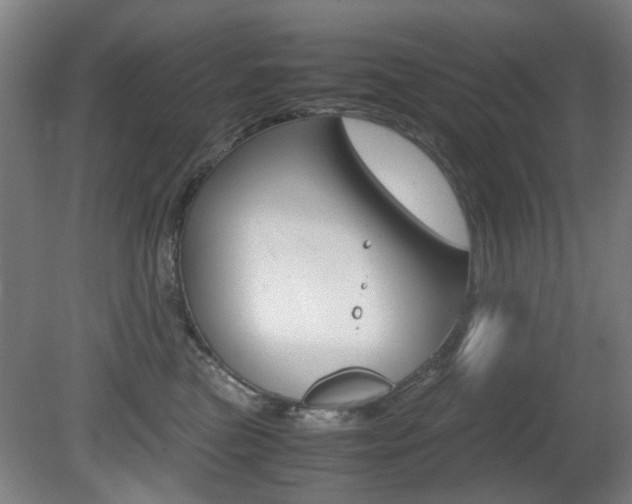 X0000080660473200612150740