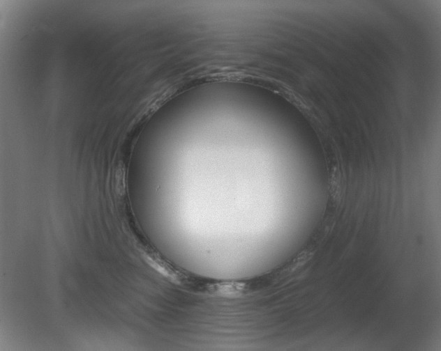 X0000080660474200612150740