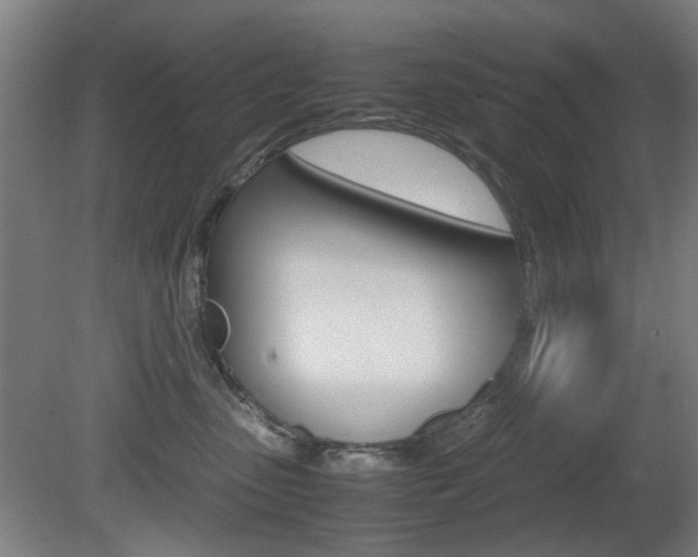 X0000080660475200612150740