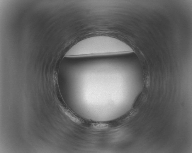 X0000080660476200612150740