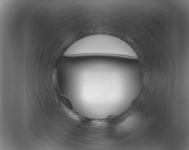 X0000080660477200612150740