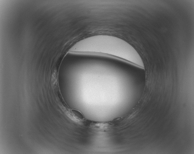 X0000080660478200612150740