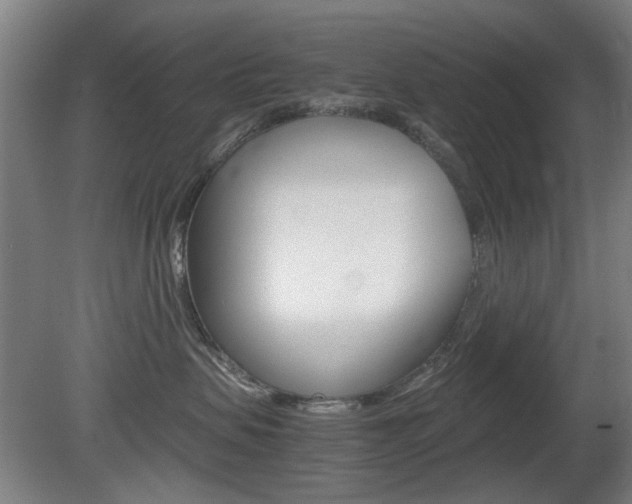 X0000080660479200612150740