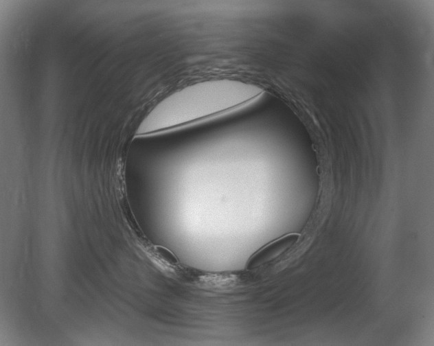 X0000080660480200612150740