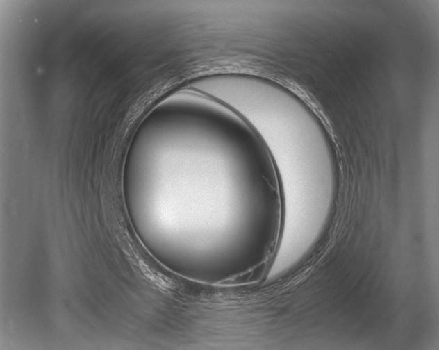 X0000080660481200612150739