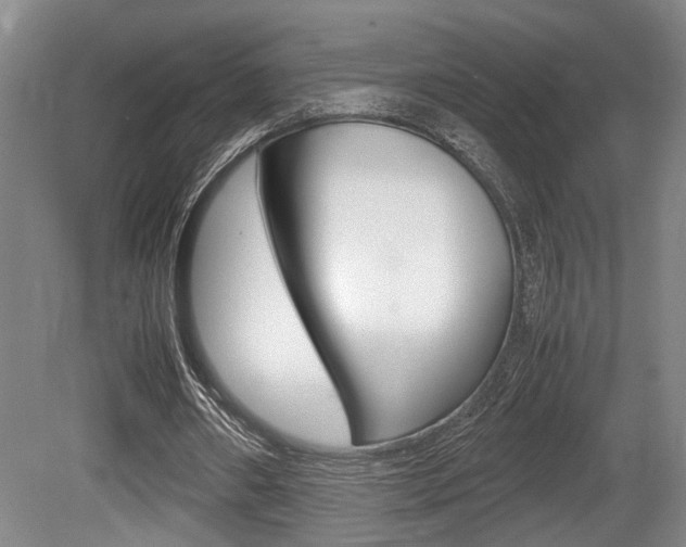 X0000080660482200612150739