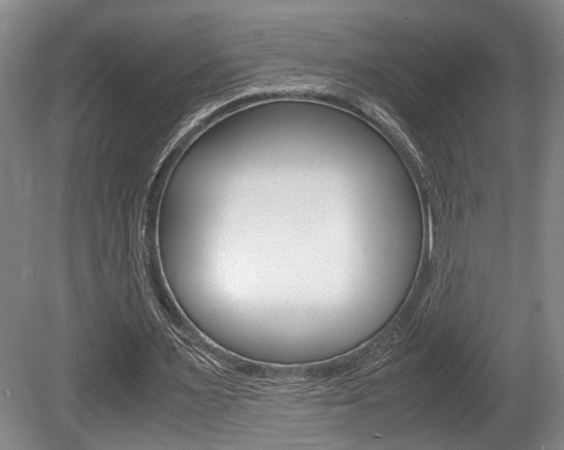 X0000080660483200612150739