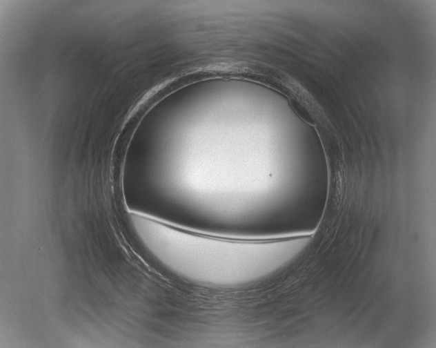 X0000080660484200612150739