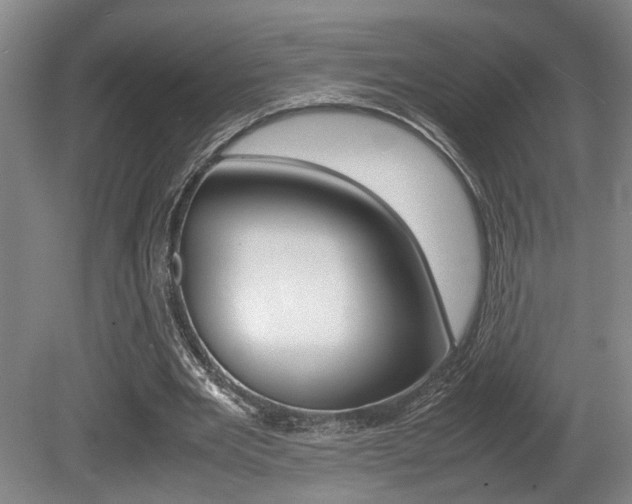 X0000080660485200612150739