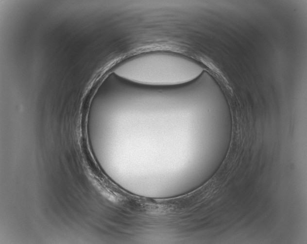 X0000080660486200612150739