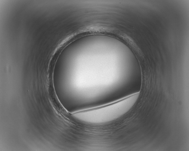X0000080660488200612150739