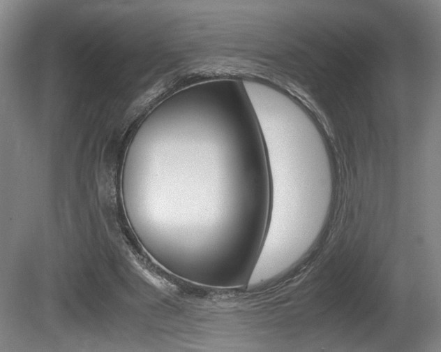 X0000080660489200612150739