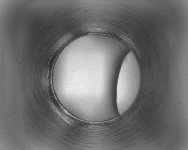 X0000080660490200612150739