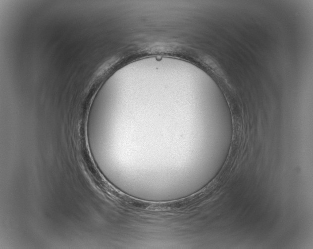 X0000080660491200612150739