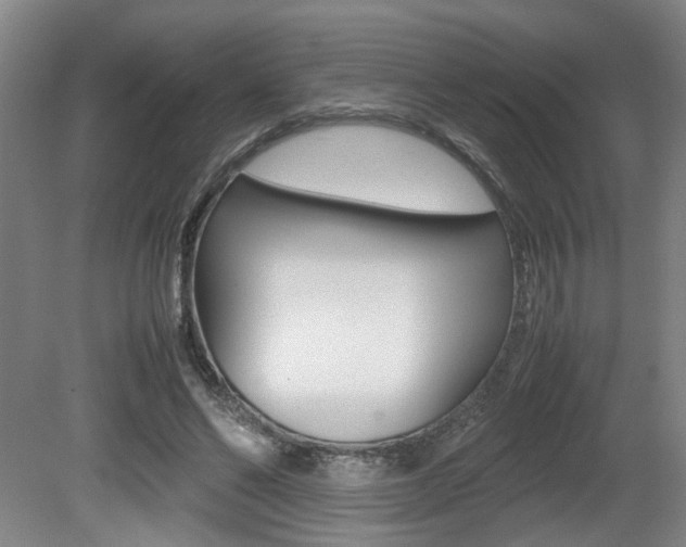 X0000080660494200612150739