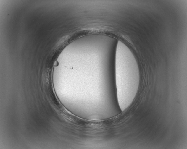X0000080660495200612150739