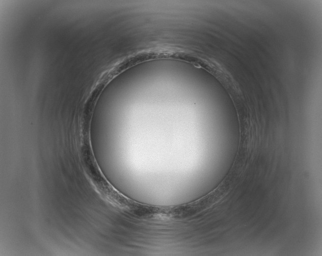 X0000080660496200612150739
