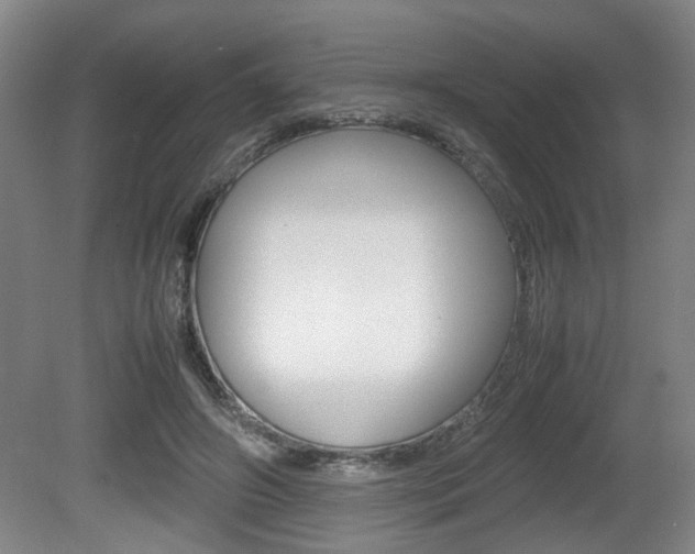 X0000080660498200612150739