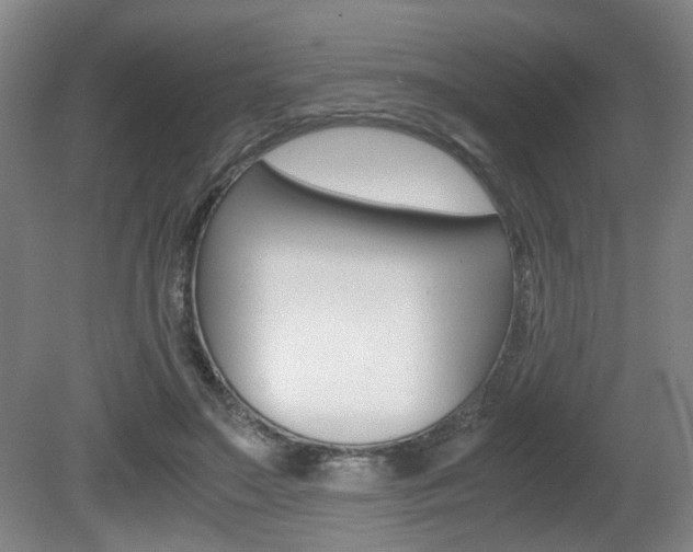 X0000080660499200612150739