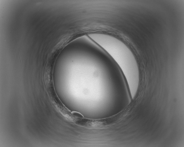 X0000080660501200612150739