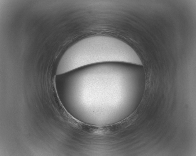 X0000080660504200612150739