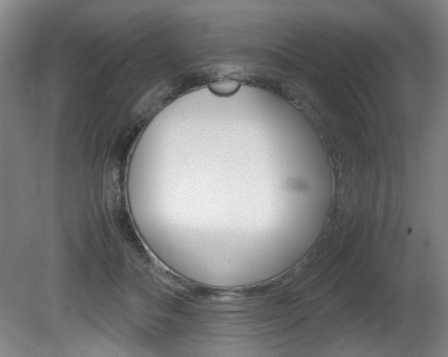 X0000080660506200612150739