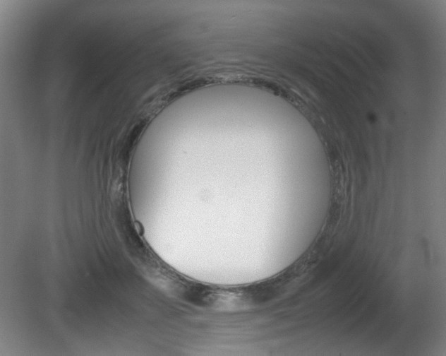 X0000080660507200612150739