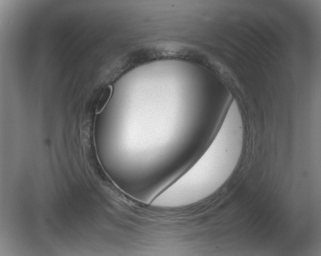 X0000080660509200612150739