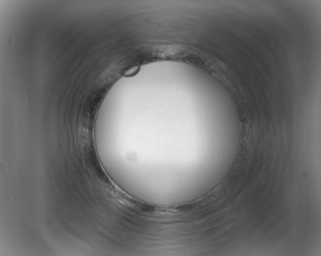 X0000080660510200612150739