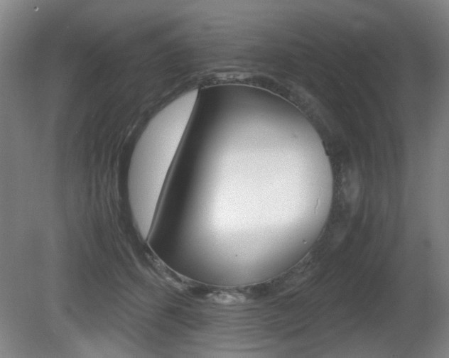 X0000080660512200612150738