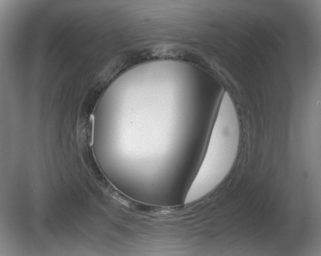 X0000080660513200612150738