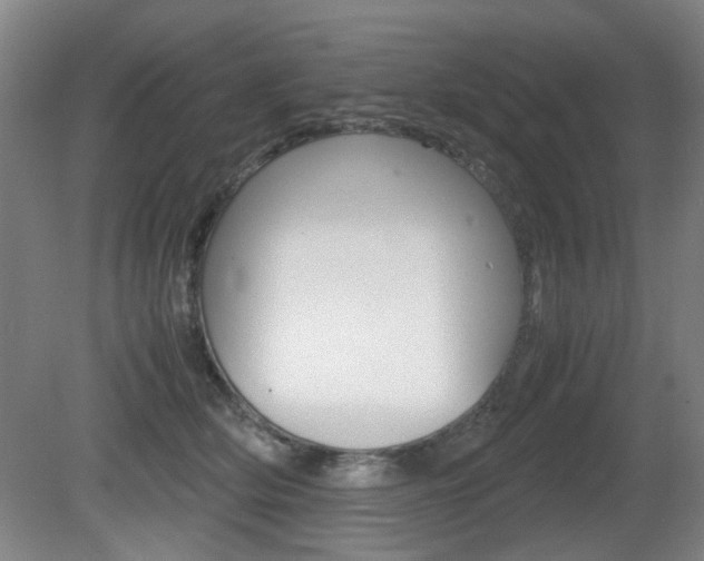 X0000080660514200612150738
