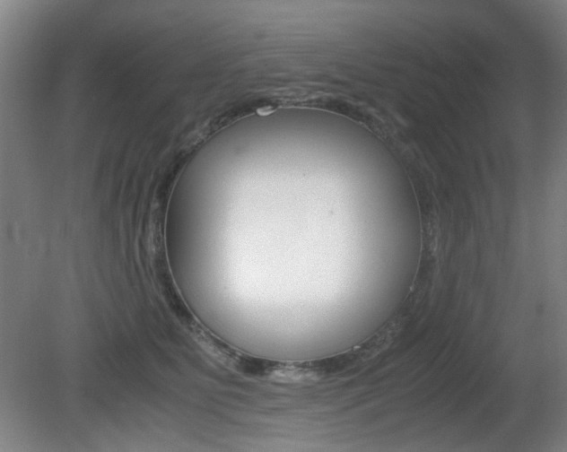 X0000080660515200612150738