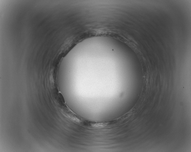 X0000080660516200612150738
