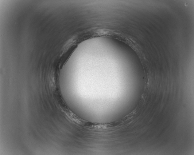 X0000080660524200612150738