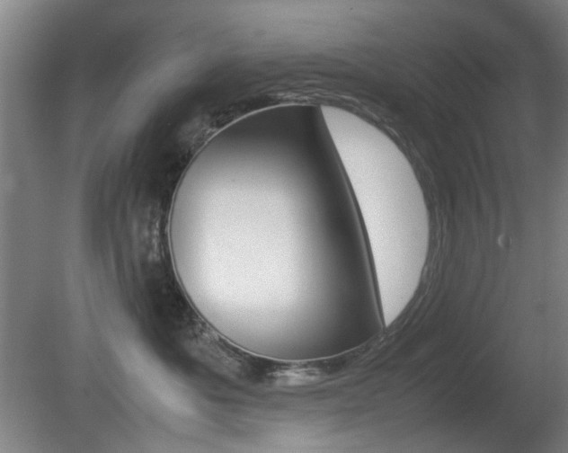 X0000080660525200612150738