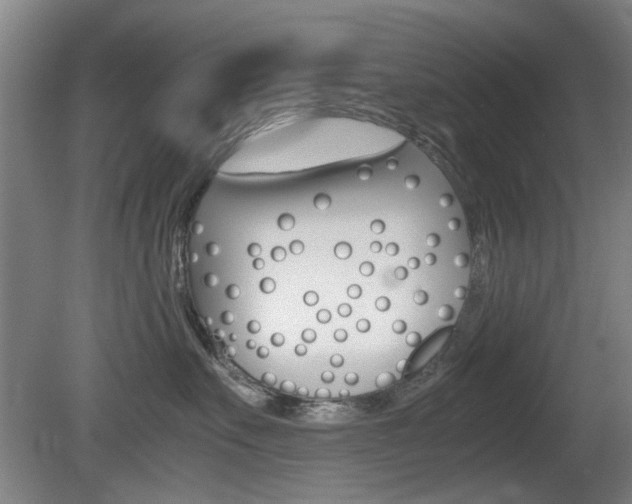 X0000080660527200612150738