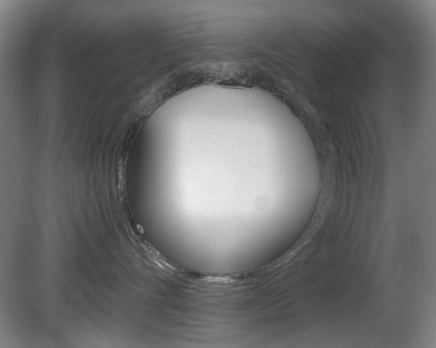 X0000080660528200612150738