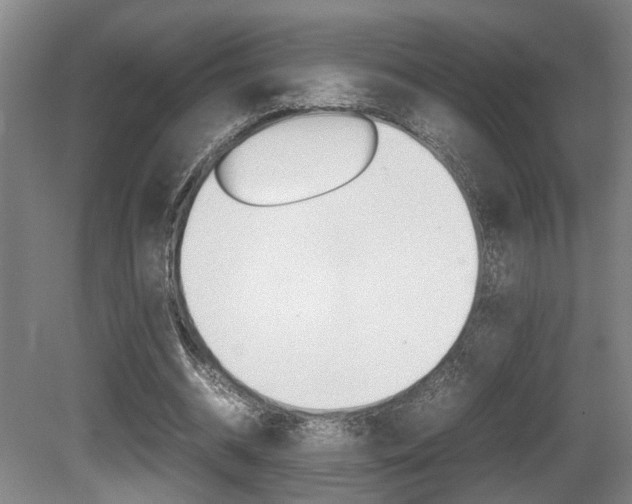 X0000080660534200612150737