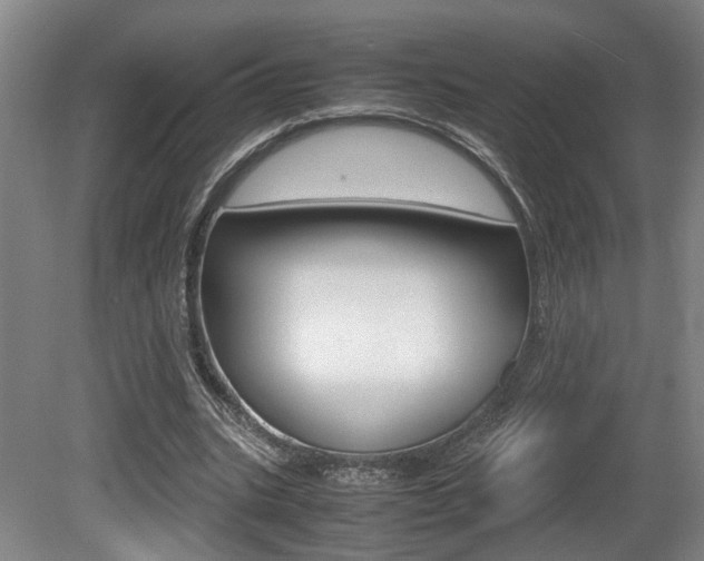 X0000080660535200612150737