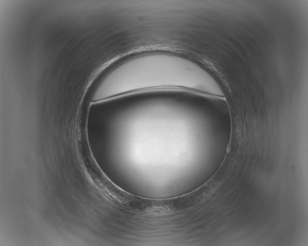 X0000080660536200612150738