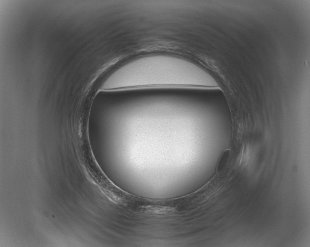 X0000080660539200612150738