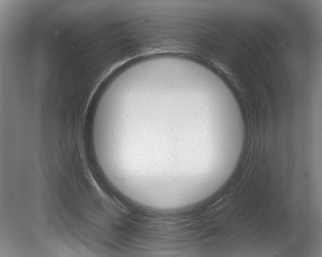 X0000080660540200612150738