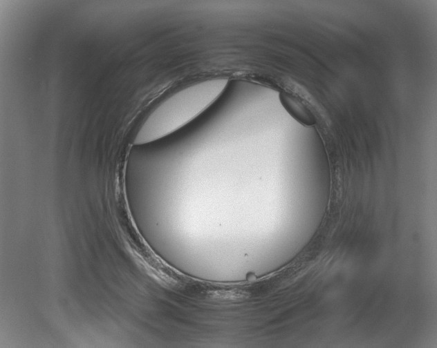 X0000080660541200612150738