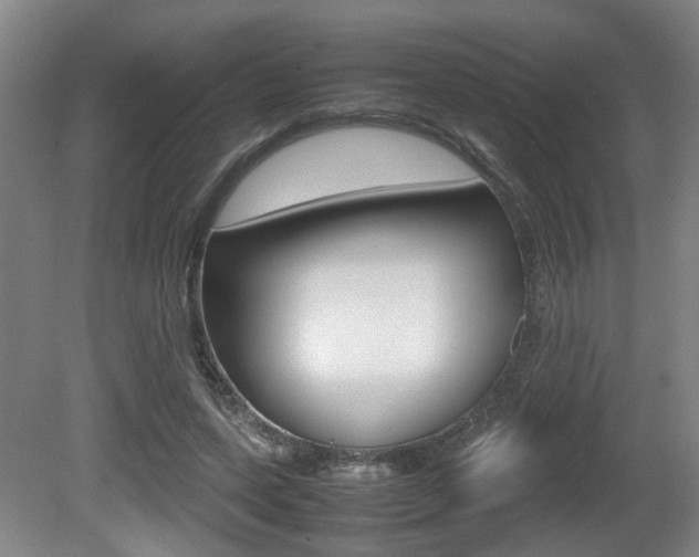 X0000080660543200612150738