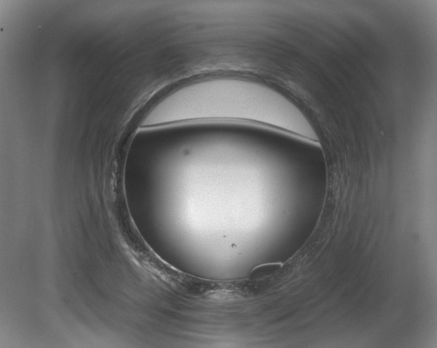 X0000080660544200612150738