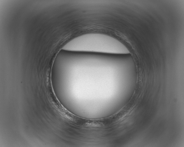 X0000080660545200612150738